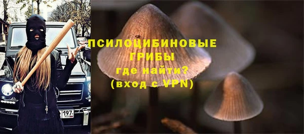 ПСИЛОЦИБИНОВЫЕ ГРИБЫ Верхнеуральск