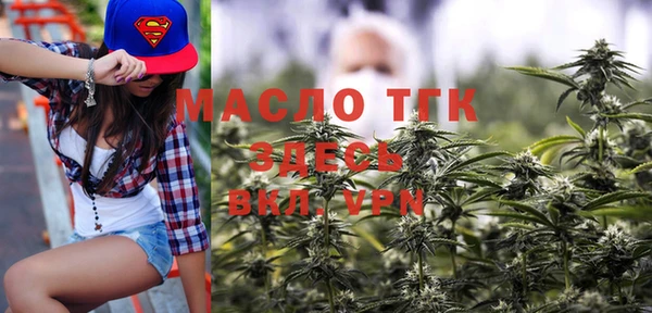 амф Верхний Тагил