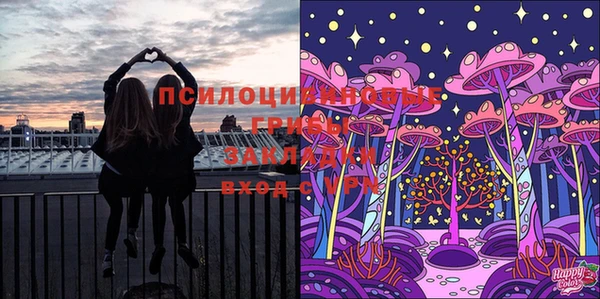 твердый Горно-Алтайск
