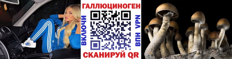 гидра рабочий сайт Ершов Галлюциногенные грибы Magic Shrooms