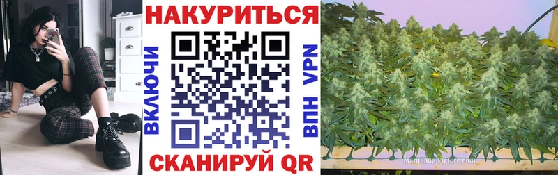 Каннабис конопля где можно купить Ершов